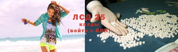 твердый Аркадак