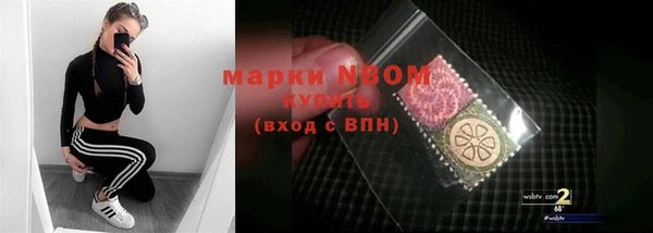 твердый Аркадак