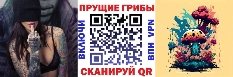 купить  цена  Пыталово  Галлюциногенные грибы Magic Shrooms 